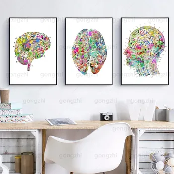 Цветна биомедицинско анатомия на мозъка, разлагане, Живопис върху платно, проучване, болница, Декорация на стени, печат на HD Плакат на съвременното изкуство